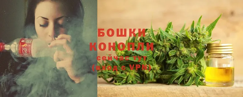 Шишки марихуана семена  где можно купить   Карасук 